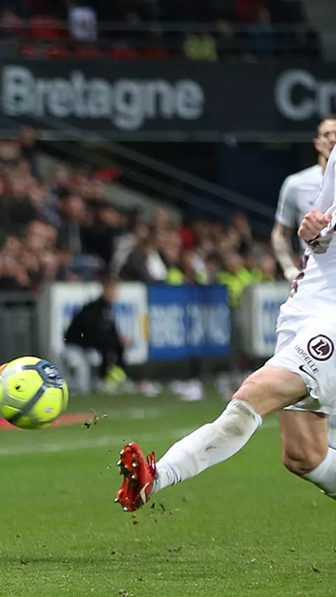 srfc_metz028_0.jpg