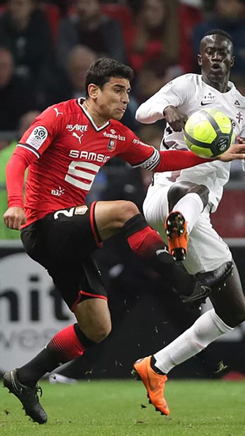 srfc_metz042_0.jpg