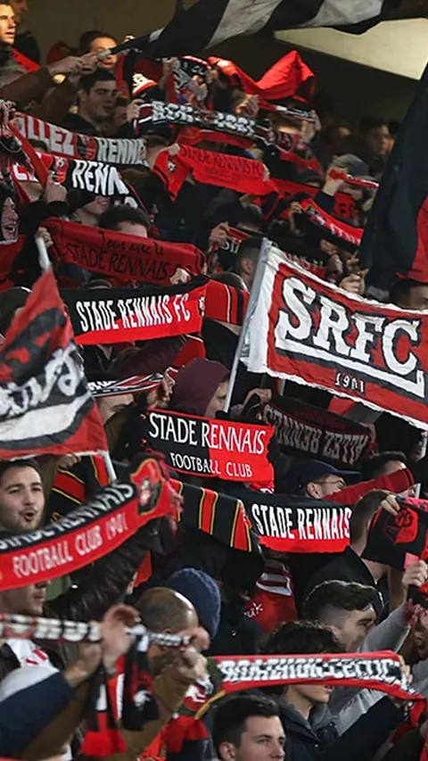 srfc_no013.jpg