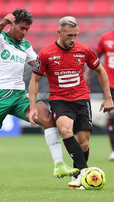 srfc_asse032.jpg