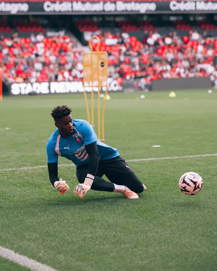Stade Rennais F.C.