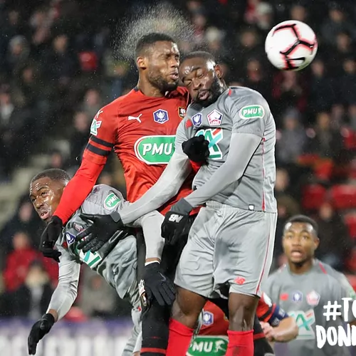 SRFC_LOSC033.jpg