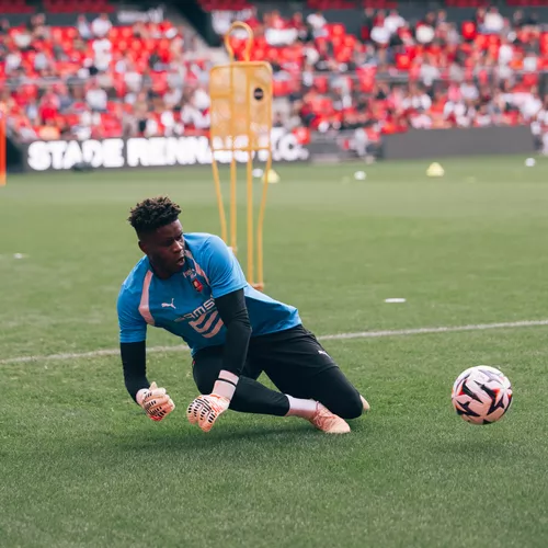 Stade Rennais F.C.